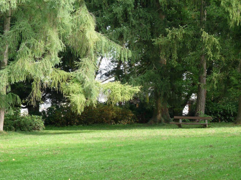 Parkhotel Zur Klause Bad Hall Extérieur photo